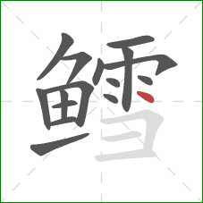 鳕的笔顺第16画：点