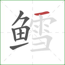 鳕的笔顺第9画：横