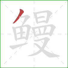 鳗的笔顺第1画：撇