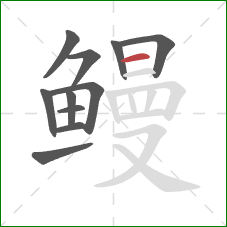 鳗的笔顺第11画：横