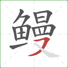 鳗的笔顺第18画：横撇