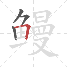 鳗的笔顺第4画：横折