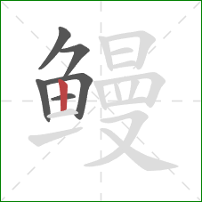 鳗的笔顺第6画：竖