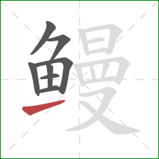 鳗的笔顺第8画：提