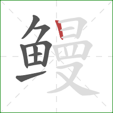 鳗的笔顺第9画：竖