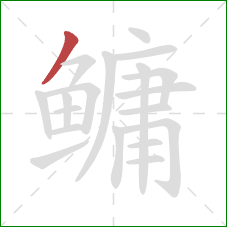 鳙的笔顺第1画：撇