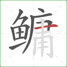 鳙的笔顺第13画：横