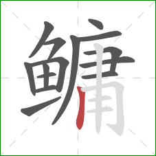 鳙的笔顺第15画：竖