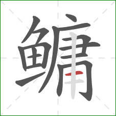 鳙的笔顺第17画：横