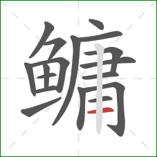 鳙的笔顺第18画：横