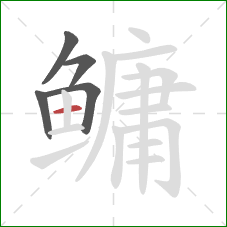 鳙的笔顺第5画：横
