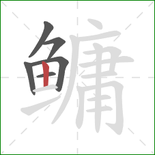 鳙的笔顺第6画：竖