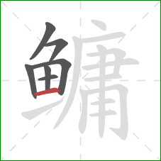 鳙的笔顺第7画：横