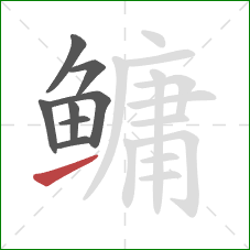 鳙的笔顺第8画：提