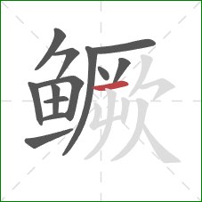 鳜的笔顺第13画：横