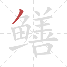 鳝的笔顺第1画：撇