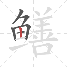 鳝的笔顺第6画：竖