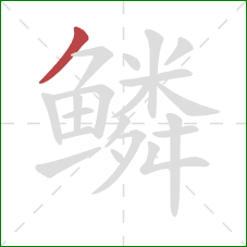 鳞的笔顺第1画：撇
