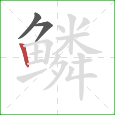 鳞的笔顺第3画：竖