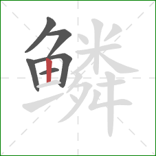 鳞的笔顺第6画：竖