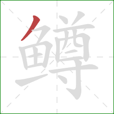 鳟的笔顺第1画：撇
