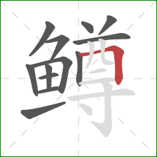 鳟的笔顺第13画：横折