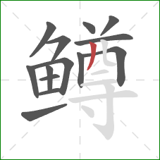 鳟的笔顺第14画：撇