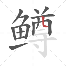鳟的笔顺第15画：竖弯