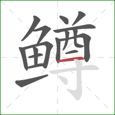 鳟的笔顺第17画：横