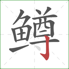 鳟的笔顺第19画：竖钩