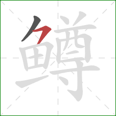 鳟的笔顺第2画：横撇