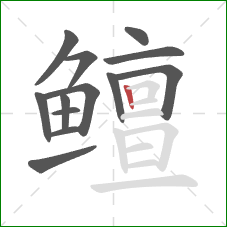 鳣的笔顺第13画：竖