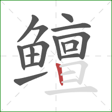 鳣的笔顺第17画：竖