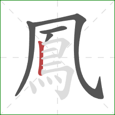 鳳的笔顺第5画：竖