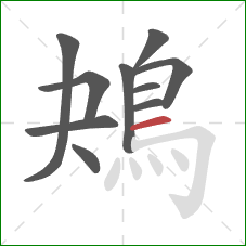 鴂的笔顺第10画：横