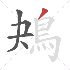 鴂的笔顺第5画：撇