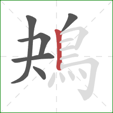 鴂的笔顺第6画：竖