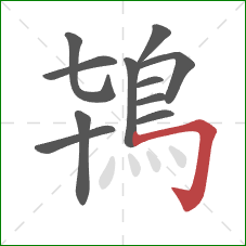 鴇的笔顺第11画：横折钩