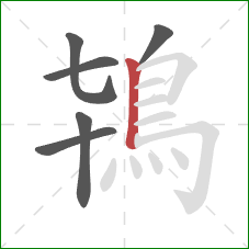 鴇的笔顺第6画：竖