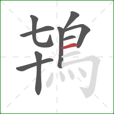 鴇的笔顺第9画：横