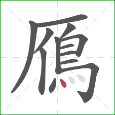 鴈的笔顺第13画：点