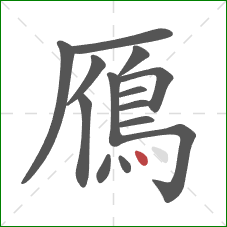 鴈的笔顺第14画：点