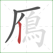 鴈的笔顺第4画：竖
