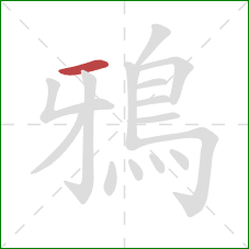 鴉的笔顺第1画：横