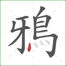 鴉的笔顺第12画：点