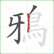 鴉的笔顺第6画：竖