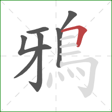 鴉的笔顺第7画：横折