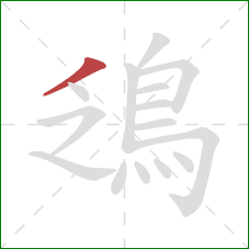 鴔的笔顺第1画：撇