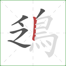 鴔的笔顺第6画：竖