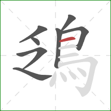 鴔的笔顺第8画：横